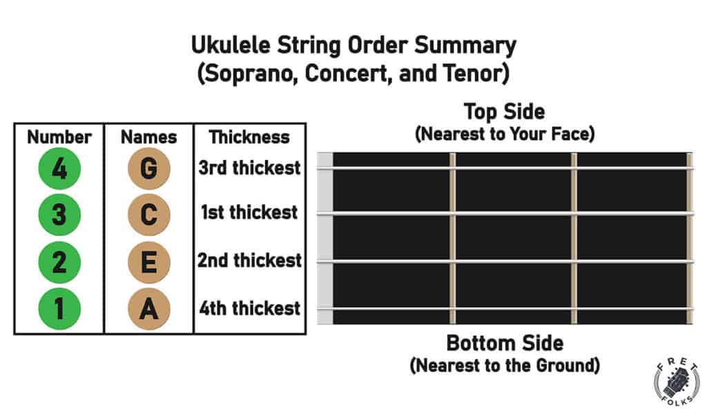 Ukulele String Guide (Chart w/ Name, Number, Thickness) – Fret Folks