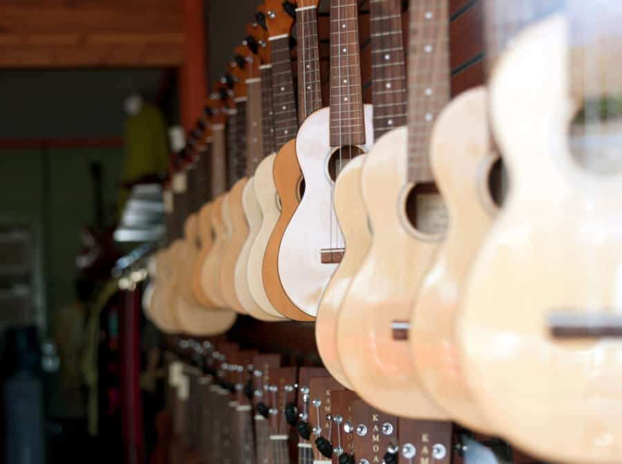 Buying a Ukulele in Hawaii (Cost, Best Stores, and Tips)